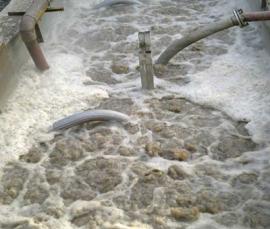 西安下店玉米開(kāi)發(fā)實(shí)業(yè)有限公司